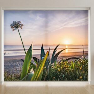 Printed roller blind 5691 nz
