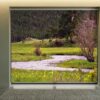 Printed roller blind colorado 1 nz