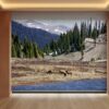 Printed roller blind colorado 3 nz