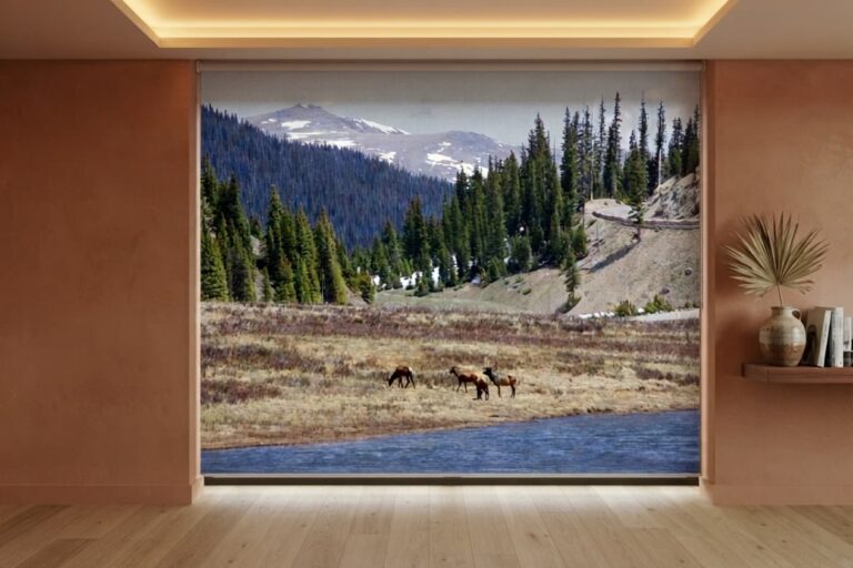 Printed roller blind colorado 3 nz