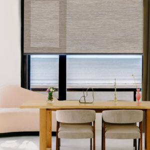 Remy (import) *lightfilter-cordless*