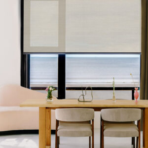 Remy (import) *lightfilter-cordless*