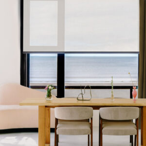 Remy (import) *blackout/cordless*